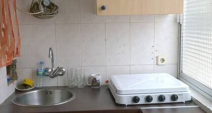 2 bedroom apartment. Oporto - Vista Alegre. Meter. Wifi