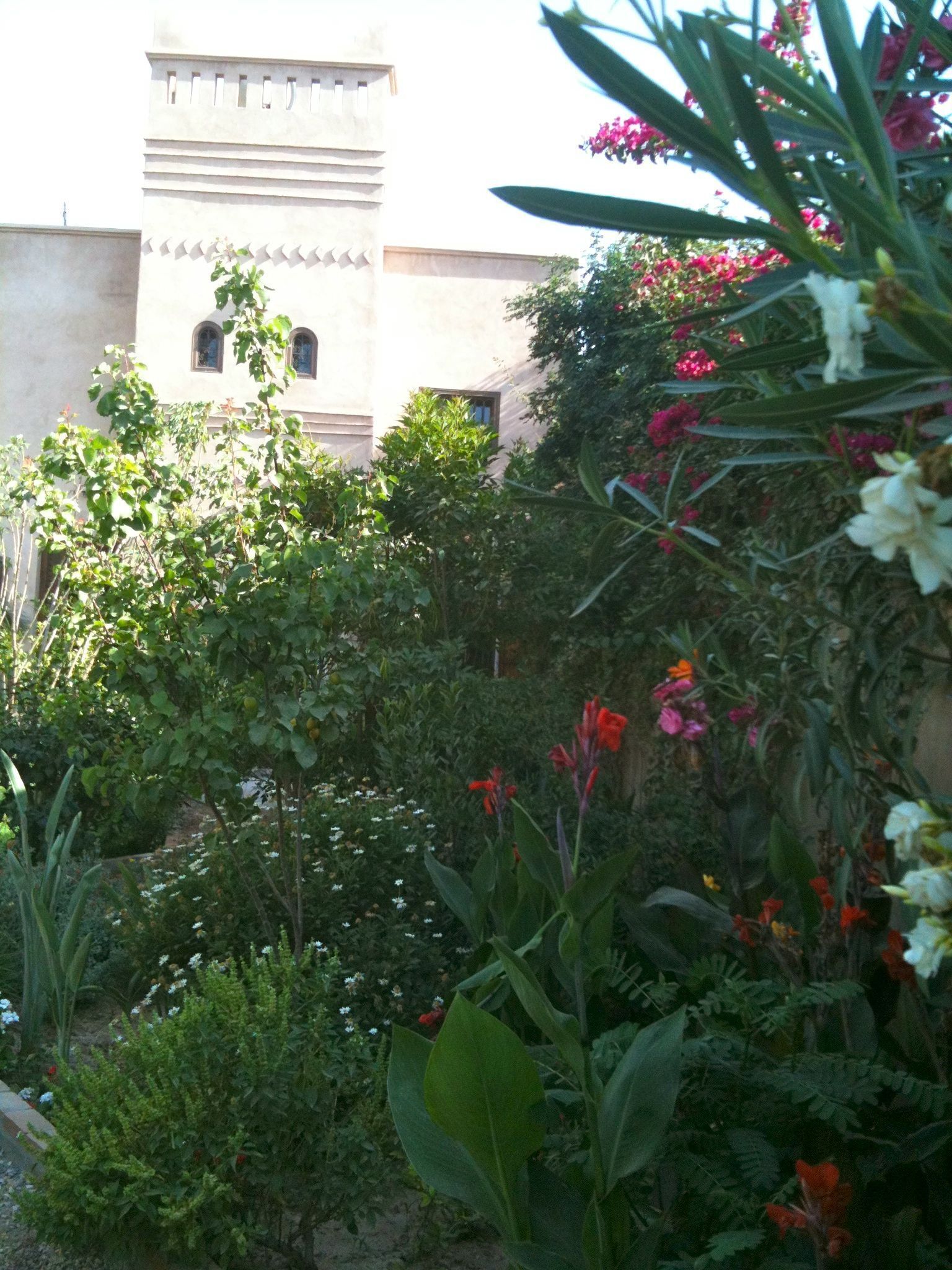 Áreas de la propiedad