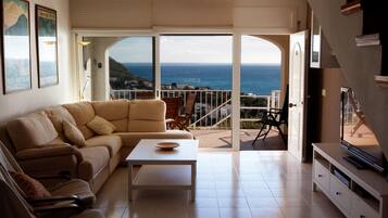 Una Smart TV, una chimenea, un reproductor de DVD, libros