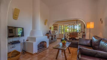 Smart TV, chimenea, reproductor de DVD y libros