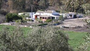 A rural house with a red porch, surrounded by olive trees and a hilly landscape. - River Bed Seat (pruna)