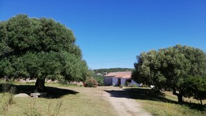 A rural landscape with a dirt path leading to a white building with a red-tiled roof.