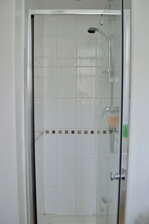 Bathtub, hair dryer, soap, shampoo