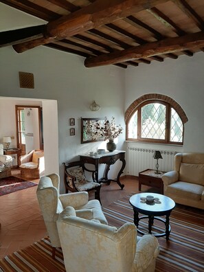 Chimenea, reproductor de DVD, libros, biblioteca de música