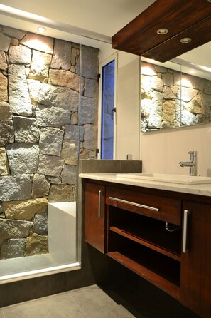Combined shower/tub, jetted tub, hair dryer, bidet