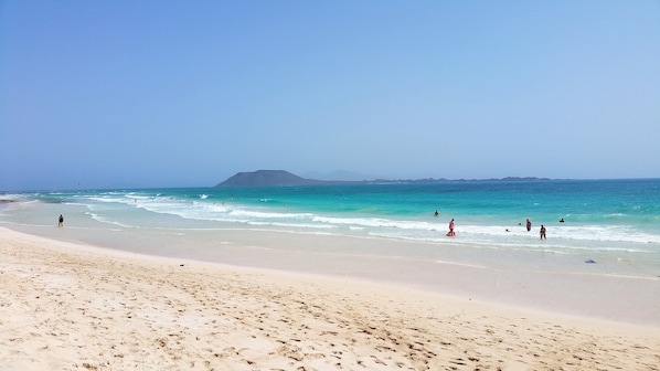 Plage à proximité, chaises longues, serviettes de plage