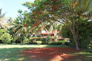 A lush garden with palm trees and a building in the background. - PIÑAS 13 Tropical Holidays in Casa de Campo - 4BDR with private pool and jacuzzi (Casa de Campo)