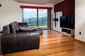 Fernseher, DVD-Player