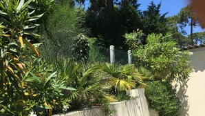 Un jardín con diversas plantas y un muro de concreto.