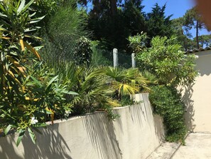 Um jardim com diversas plantas e um muro de concreto.
