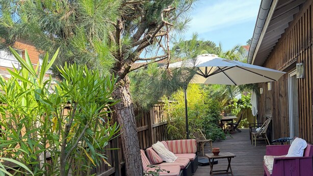 Una terraza de madera con mobiliario exterior, una planta grande en maceta y una pérgola con sombrilla.