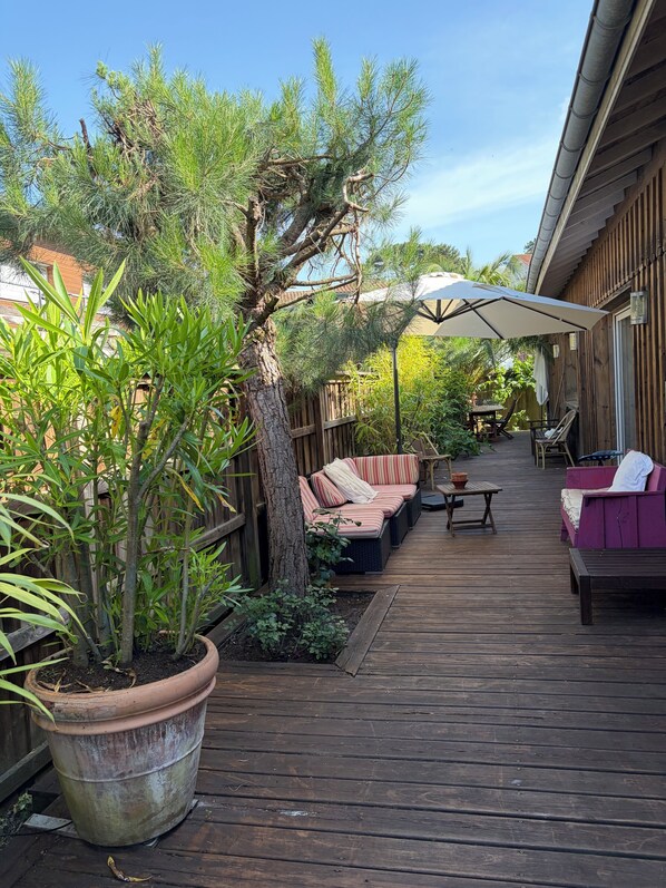 Um deck de madeira com móveis de exterior, uma grande planta em vaso e um pergolado com guarda-sol.