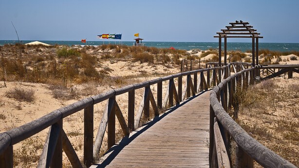 Un camí de fusta que condueix a una platja, amb banderes i una construcció de fusta.
