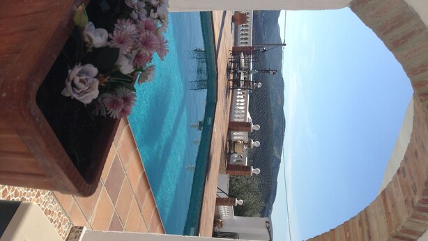 Blick auf ein Schwimmbecken mit blauem Himmel und Bergen im Hintergrund. Rechts steht ein Blumentopf mit Blumen.