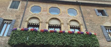 Detalle exterior