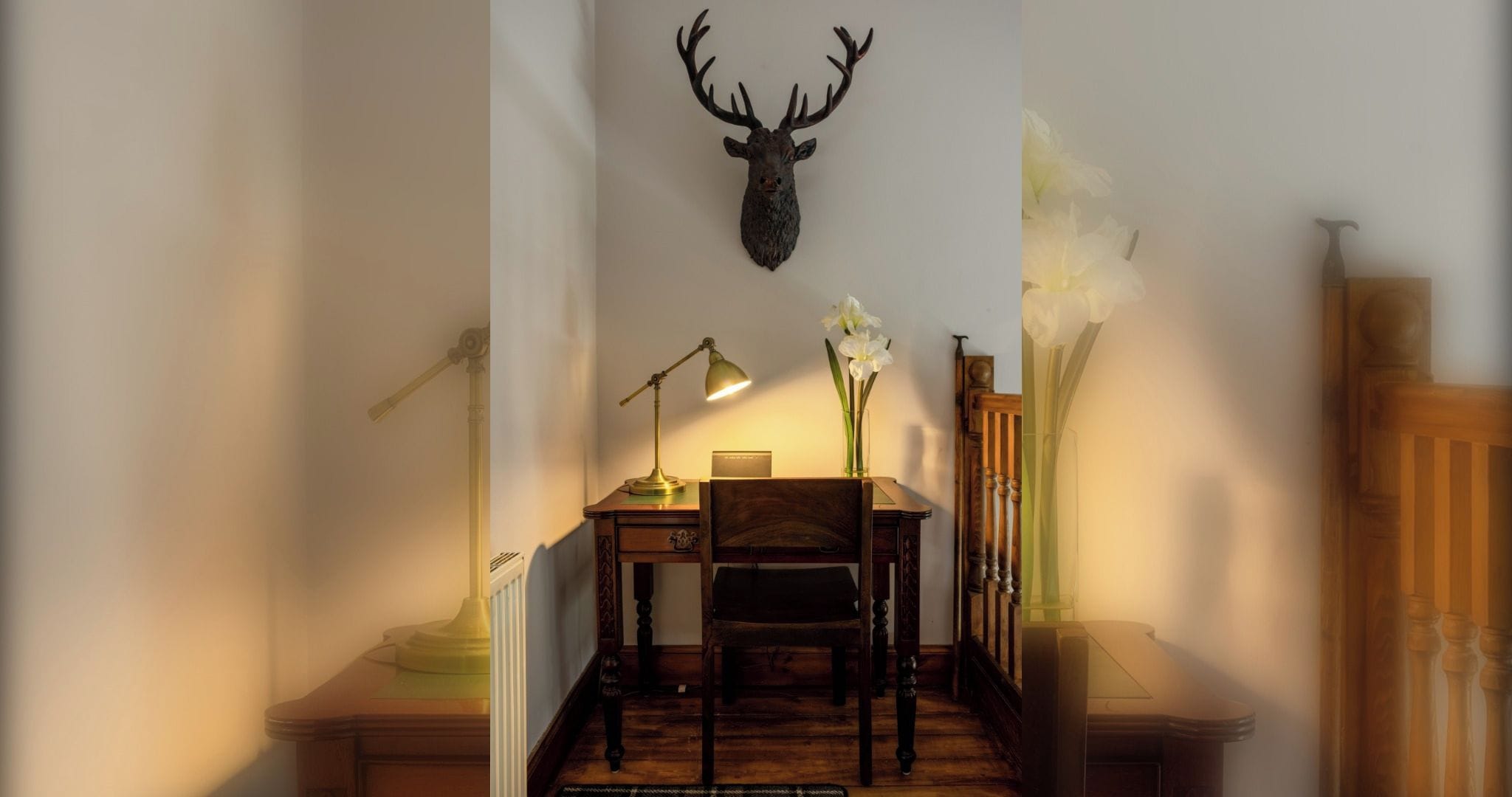 A hallway with a desk, chair, lamp, and a mounted deer head.