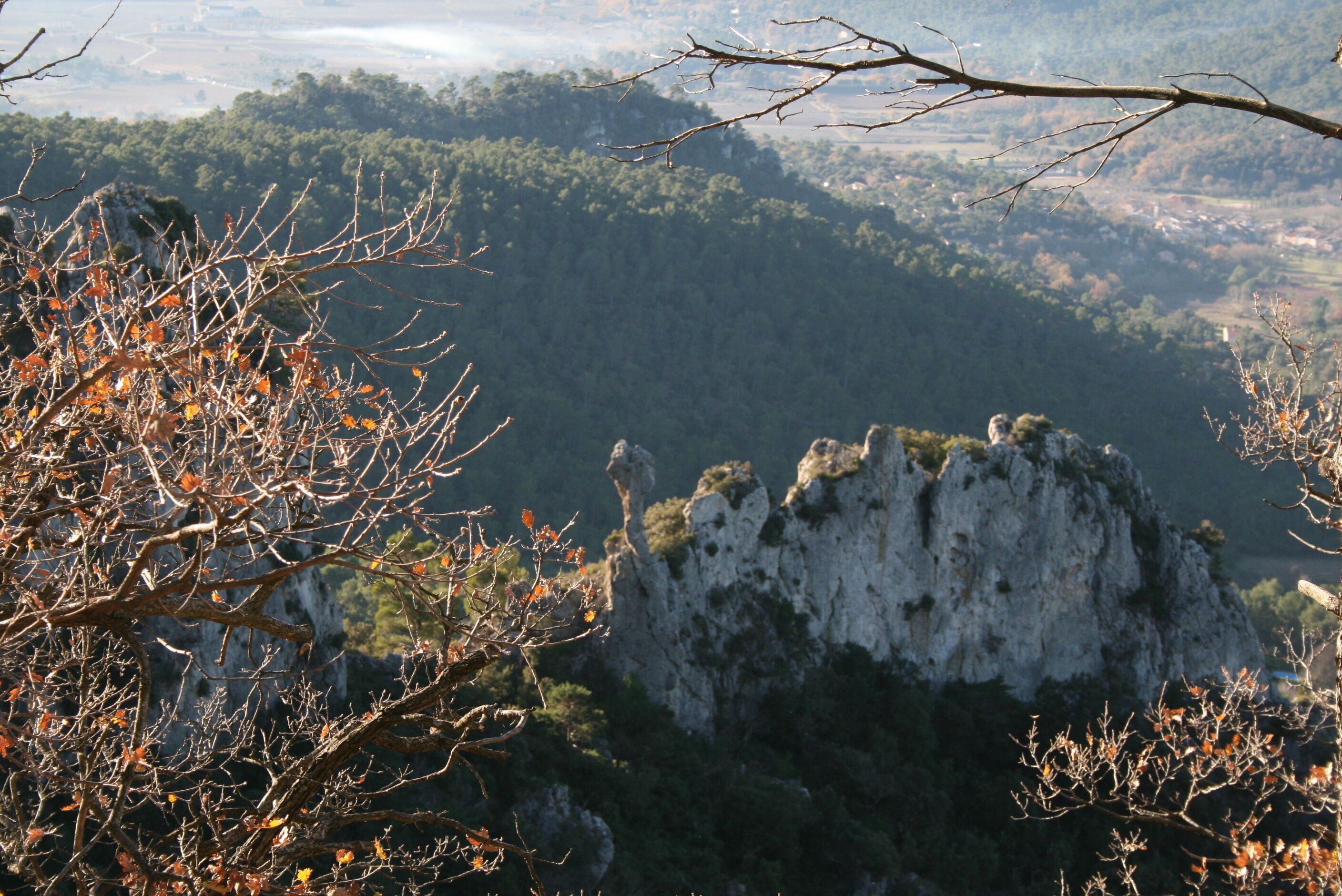 View from hill walk near by 