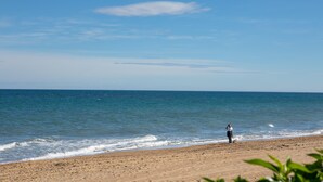 A beach with a person and a dog by the water. - Lovely appartment at 50m from the beach, with swimming pool and beach bar. 4 pers. Wifi. (Dénia)