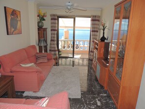 Televisie, een dvd-speler, boeken en een filmbibliotheek