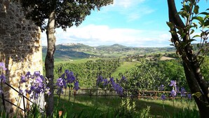 A stone wall with purple flowers in the foreground, a view of a green landscape with hills in the background. - Villa Mulinello, secluded, panoramic view over Montepulciano valley. (torrita di siena, fraz. montefollonico)