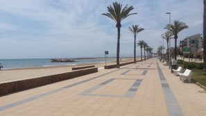 Uma passarela pavimentada com palmeiras, bancos e vista para a praia e o oceano.