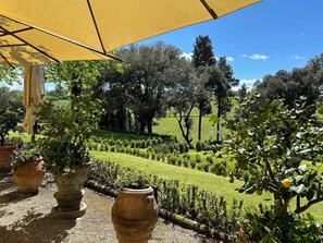 Terrein van de accommodatie