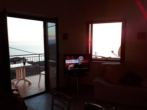 TV, DVD player, books, video library