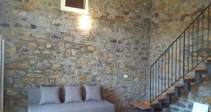 Cet appartement récemment rénové avec des murs intérieurs en pierre.