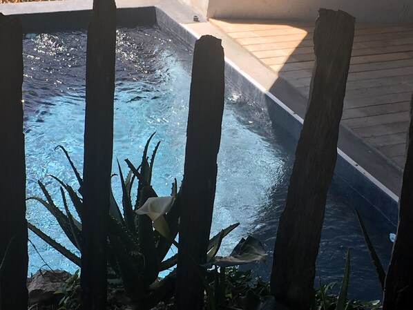 Piscine extérieure, piscine chauffée