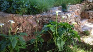 A stone retaining wall with a grassy area and plants in front. - Loft on Mont St Clair with private pool and sea view - SETE (Sète)
