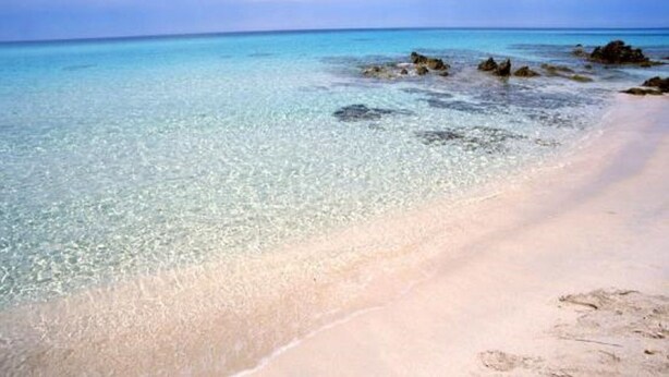 A beach with clear turquoise water and a sandy shore.