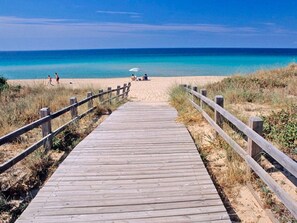 Playa en los alrededores 