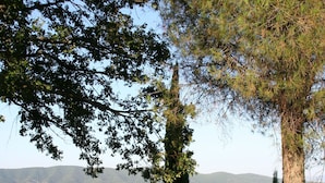 A stone pathway leading to a rustic gate with a metal fence, surrounded by trees and a view of distant hills. - Splendid private villa for 12 people with swimming pool and olive trees (Gualdo Cattaneo)