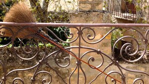 A wrought iron fence with a decorative design, featuring a central horizontal bar and curved elements.