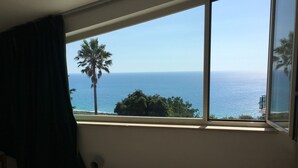 A room with a large window overlooking a coastal view, including palm trees and the ocean.