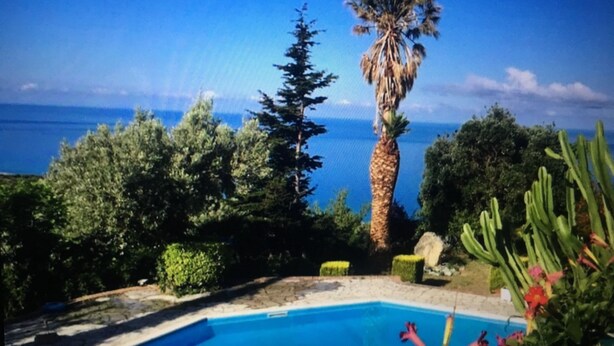 A pool with a view of the sea, surrounded by greenery and a palm tree.