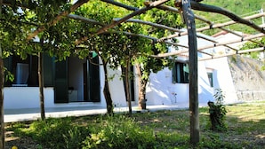 Un edificio blanco con contraventanas verdes, un jardín con árboles y arbustos, y una estructura de pérgola de madera.