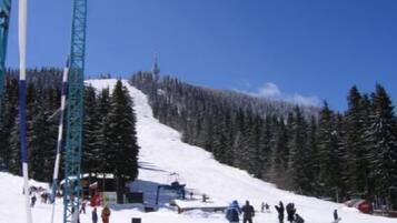 Wintersport/Ski