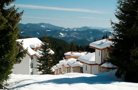 Exterior. Ski Chalet at Pamporovo Village. Quiet Village in a wood by Forest Glade