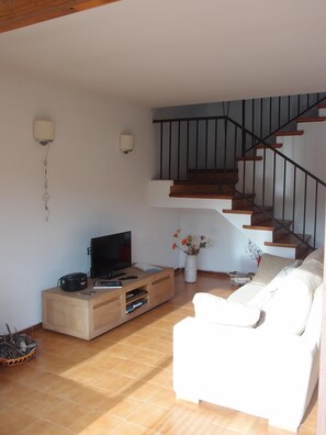 Fernseher, Kamin, DVD-Player, Bücher