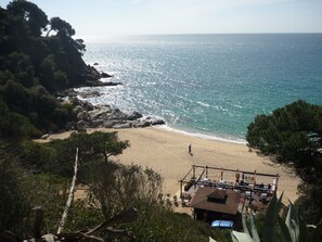 Playa en los alrededores 