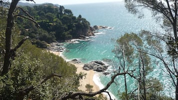 Una spiaggia nelle vicinanze