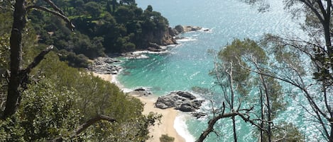 Vlak bij het strand