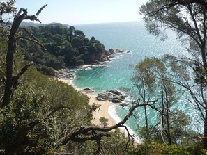 Playa en los alrededores 