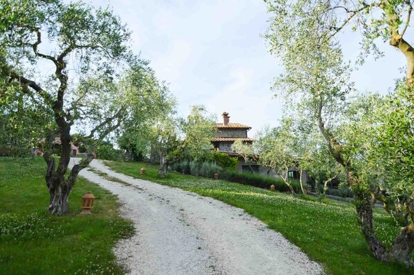 Property grounds - "Enchanted forest" apartment (soriano nel cimino)