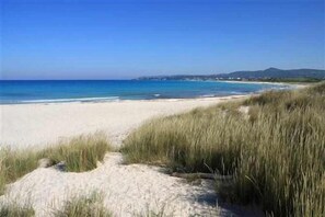 A beach with sand dunes and a clear blue sky.