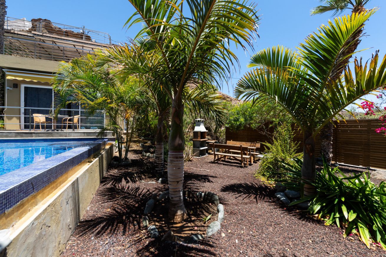 A pool area with a tiled edge, surrounded by palm trees and a wooden deck.