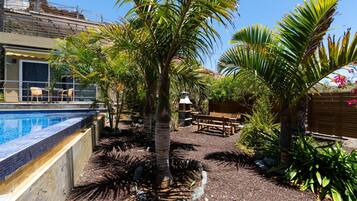 A pool area with a tiled edge, surrounded by palm trees and a wooden deck.