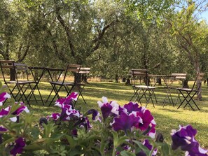 Guests can sit and enjoy the serene atmosphere in this outdoor seating area surrounded by lush greenery and vibrant flowers.