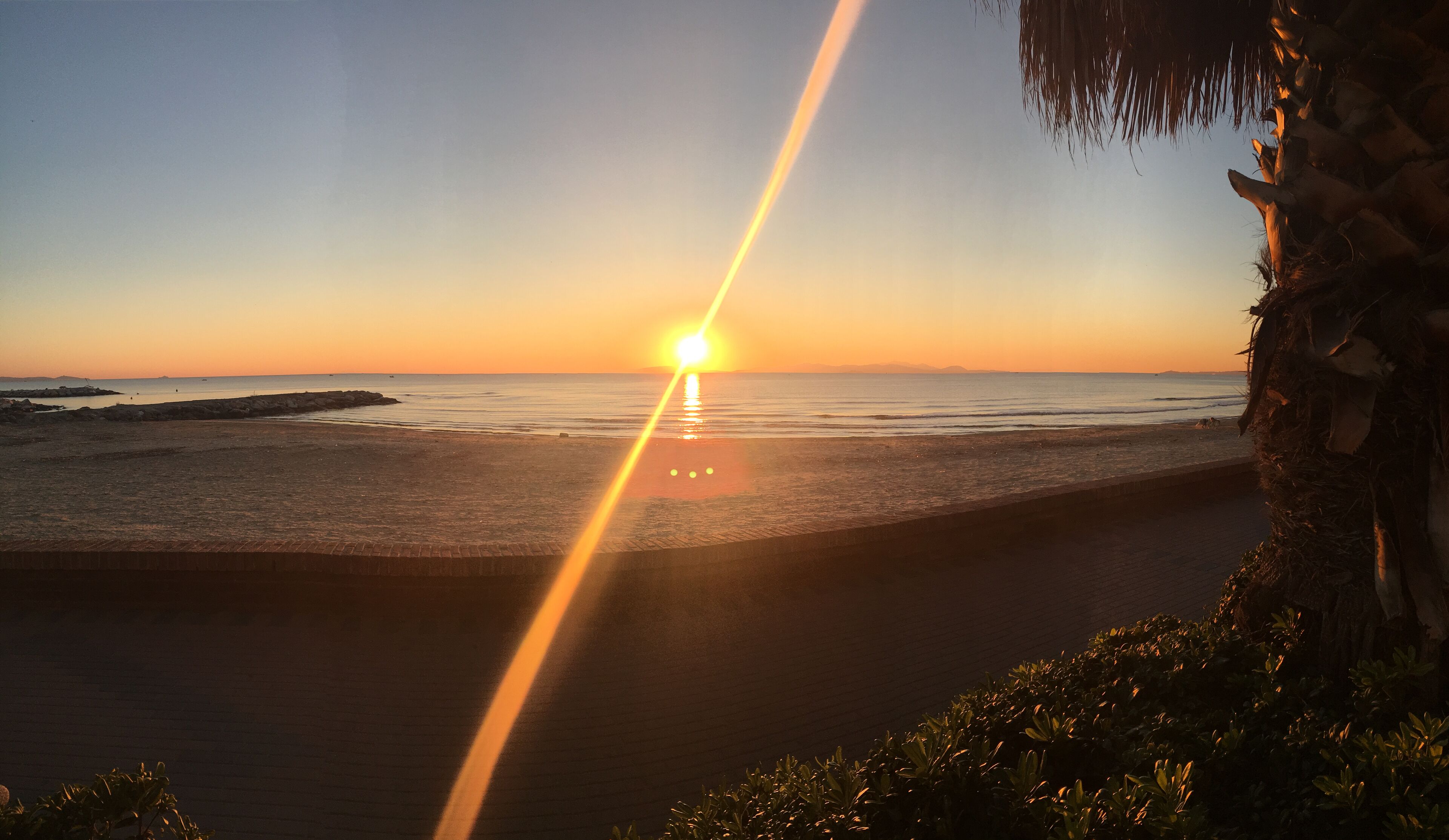 Een strand met een ondergaande zon aan de horizon, een heldere lucht en een palmboom rechts.